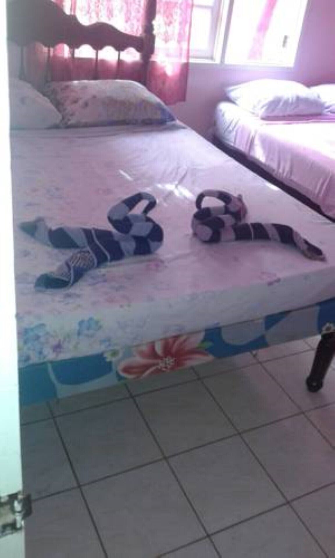 3 bedrooms, WiFi, bed sheets