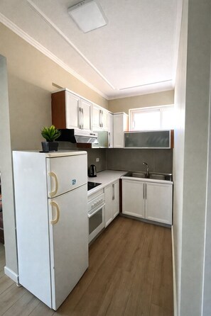 Fridge, oven, stovetop, electric kettle