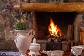 A fireplace with a burning fire, surrounded by antique white pottery and a vase with purple flowers. - Pousada Vale do Sol (Embu das Artes)