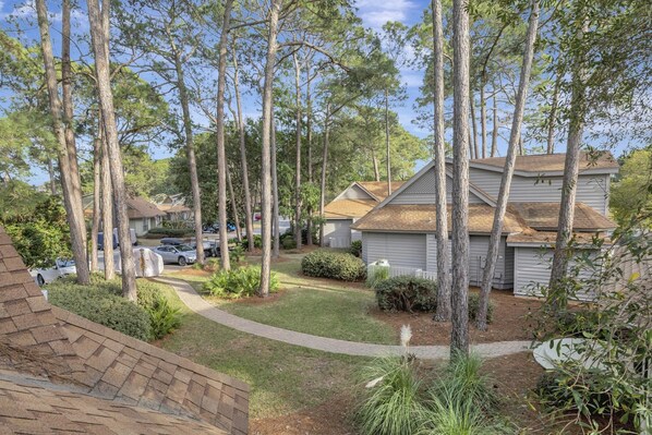 A residential area with multiple houses, a paved driveway, and a well-maintained lawn.
