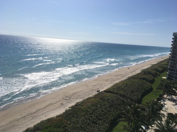 On the beach, sun loungers - Summer Breezes & Million $ Ocean View (Jensen Beach)