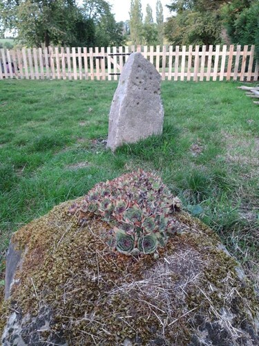 Gite du nuage - 4 personnes