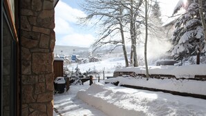 Unclassified image, 2 of 37, button - Shadowbrook (Snowmass Village)