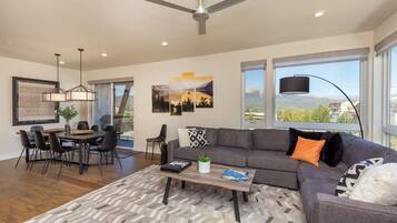 Flat-screen TV, fireplace, books