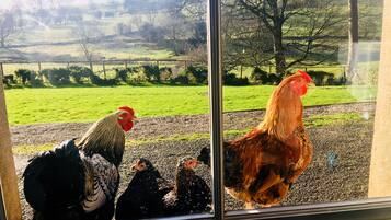 Façade de lâhĂ©bergement