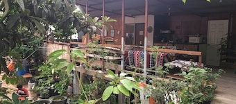 La Casa Del Nenufar - Hostel