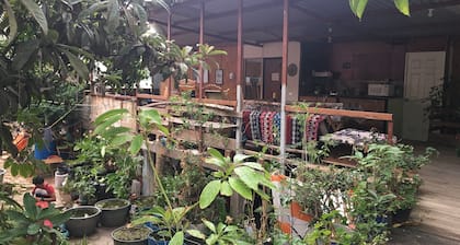 La Casa Del Nenufar - Hostel