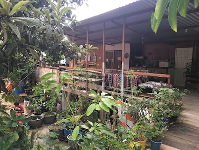 La Casa Del Nenufar - Hostel