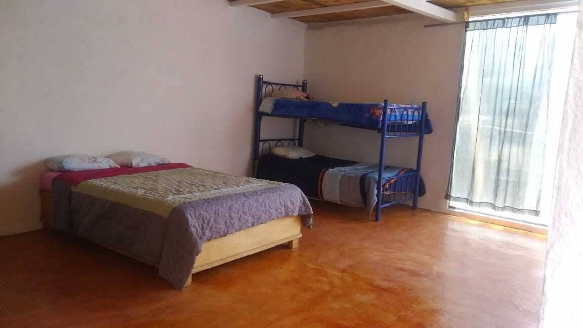 Foto - La casa del nenufar