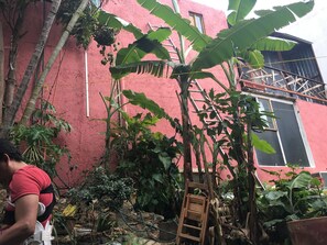 Exterior - La Casa Del Nenufar - Hostel (Oaxaca)