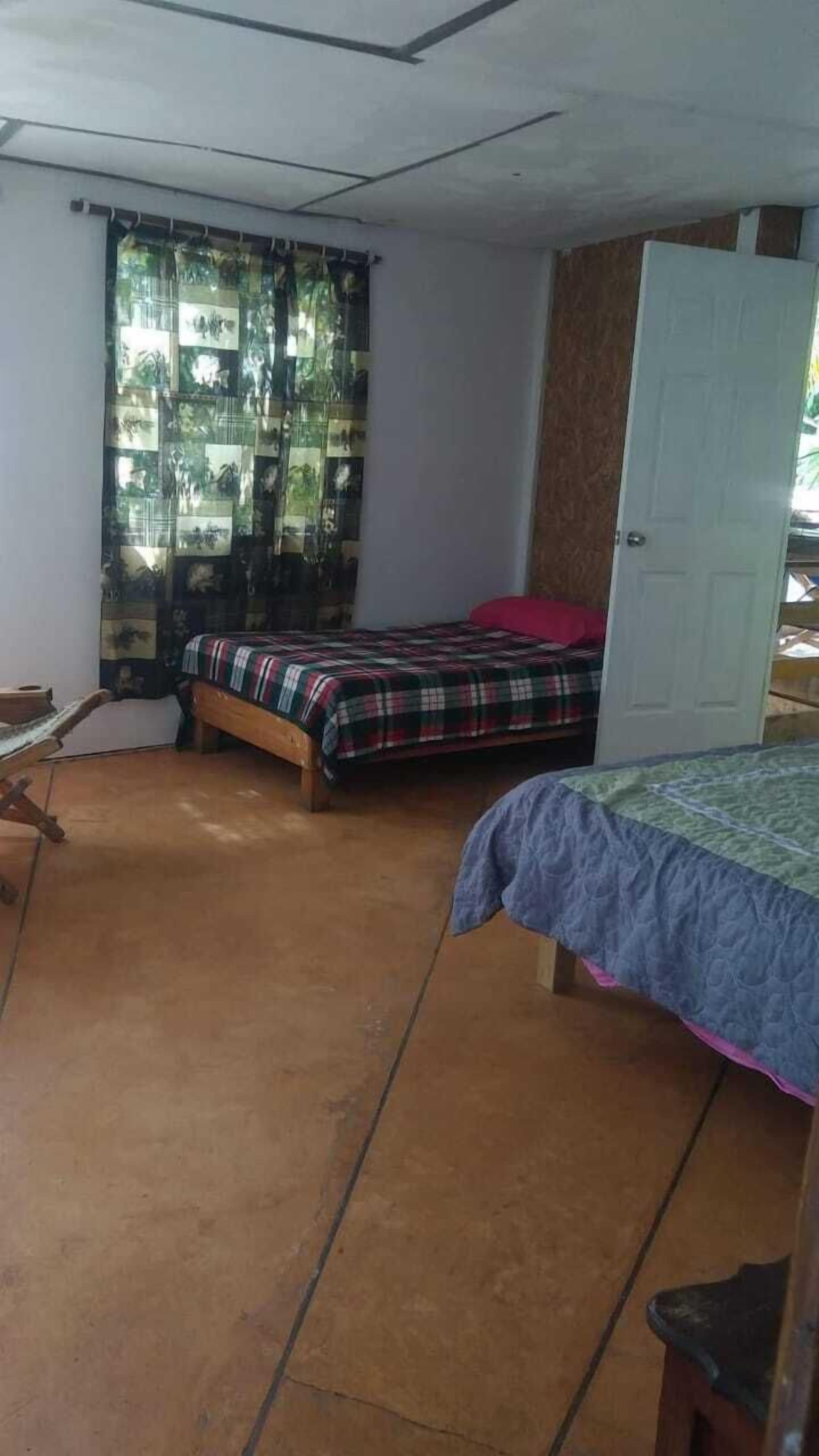 Foto - La casa del nenufar