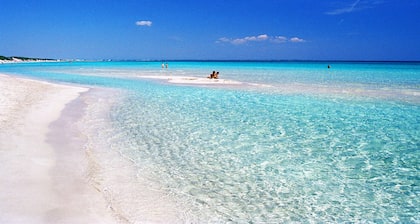 Punta Prosciutto Angel appartement Ă louer (Ă 100 mĂštres de la mer)