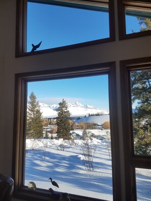 Interior - Teton Views & Privacy in Jackson Home - 30 day minimum rentals (Jackson)