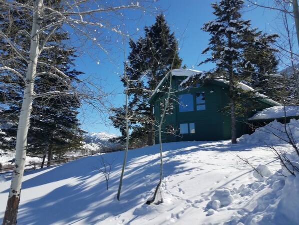 Home exterior - Teton Views & Privacy in Jackson Home - 30 day minimum rentals (Jackson)
