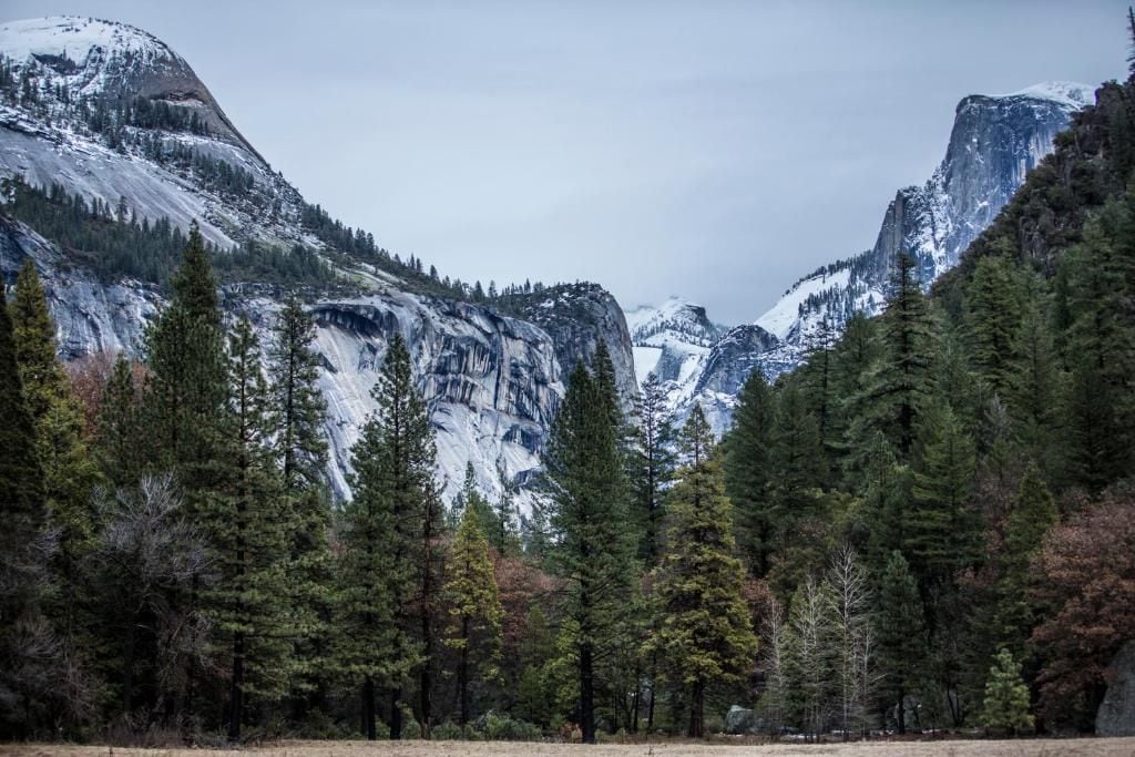A mountainous landscape with dense coniferous forest and snow-capped peaks.