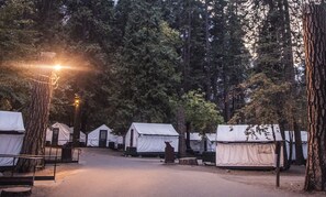 Un terrain de camping où de nombreuses tentes sont installées au milieu de grands arbres, et où un chemin pavé relie les différents emplacements.