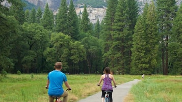 Two people riding bicycles on a paved path surrounded by trees and mountains.