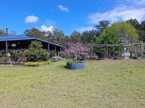 A house with a blue roof, surrounded by a grassy yard and various plants.