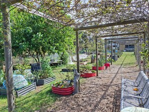 Un jardín con una pérgola, bancos y diversas plantas.