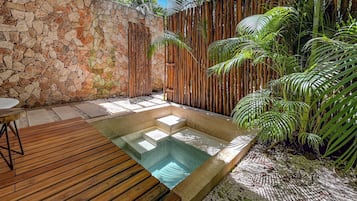 Luxury Apartment (Deck Garden Pool 2 Bedroom Apartment w/Private Pool) | Private pool