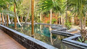 Una piscina con muelle de madera y plantas tropicales alrededor.