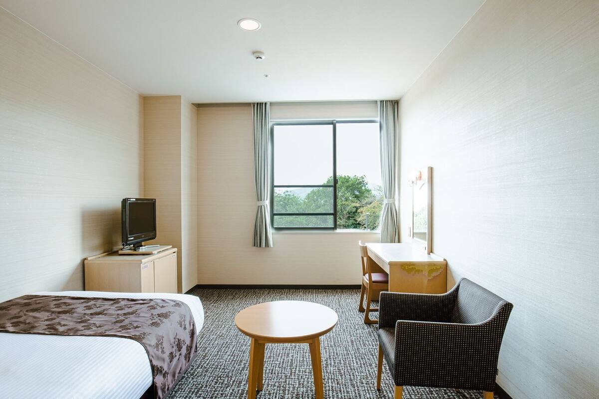 A hotel room with a bed, a desk, a chair, a television, and a window with a view of trees.