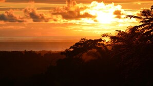 Ein Sonnenuntergang mit Baum-Silhouetten und weiter Ferne.