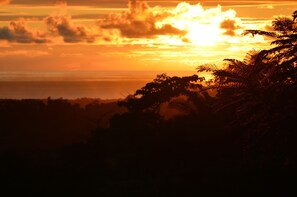 A sunset with silhouettes of trees and a distant horizon.
