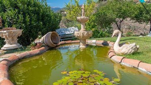 A garden with a pond, a swan statue, and a fountain.