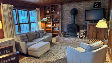 TV connectée, cheminée, lecteur de DVD, livres