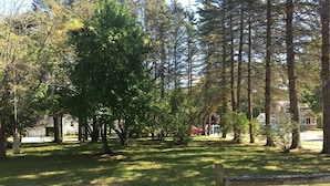 Um parque com árvores, grama e um banco de madeira.