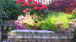 A garden with a stone wall, a fountain, and various flowering plants.