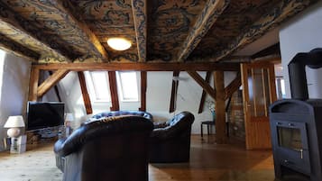 TV, fireplace