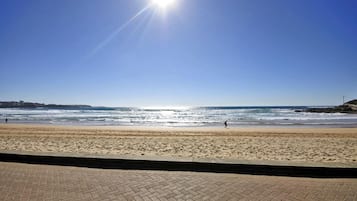 在海灘附近、白沙