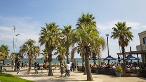 Un paseo marítimo con palmeras, bancos y zonas de estar al aire libre.