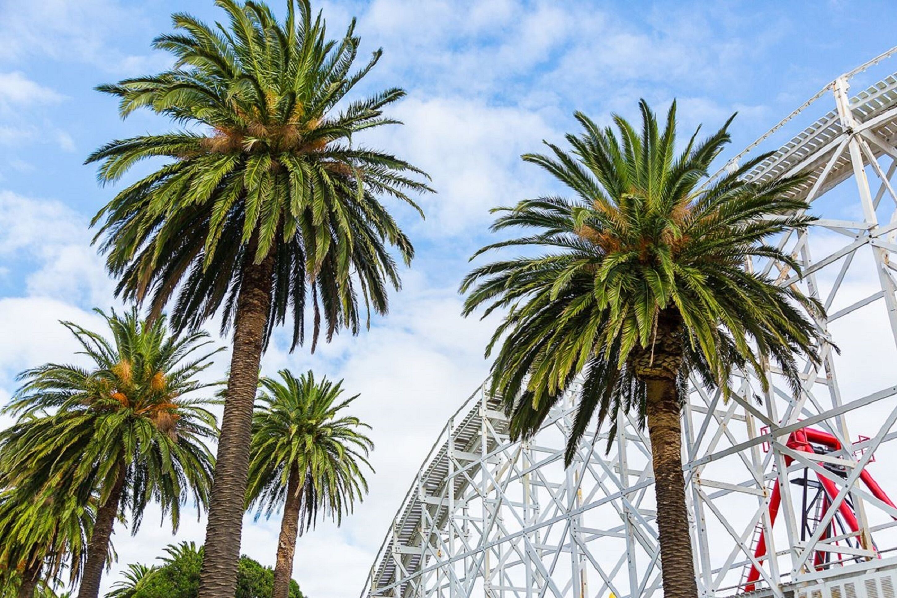 Foto - St Kilda Accommodation