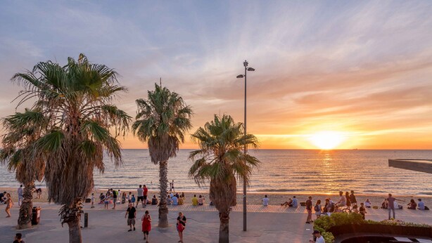 A coastal promenade with palm trees and people walking.