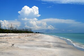 A beach with clear skies and calm waters. - WALK TO BEACH ACCESS! DOG FRIENDLY PROPERTY! (Englewood)