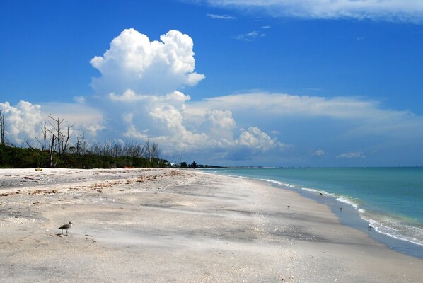 Beach nearby, sun-loungers, beach towels