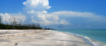 Located on the Manasota Key! DOG FRIENDLY PROPERTY!