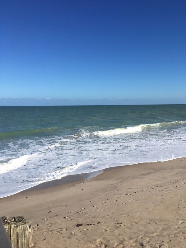 Sun-loungers, beach towels