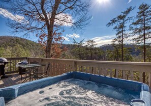 Cabin, Multiple Beds, Hot Tub, Mountain View | View from room
