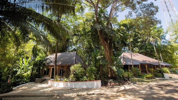 A bungalow with a tiled roof, surrounded by lush tropical vegetation and a paved pathway.