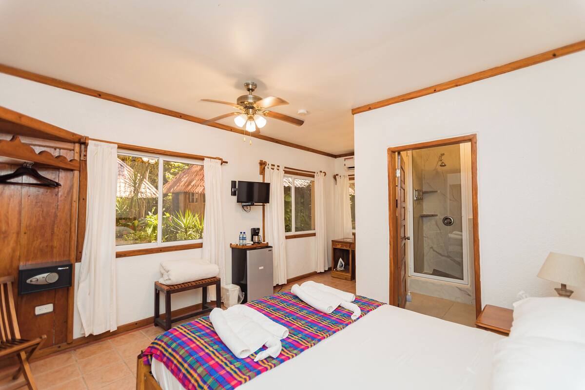 Habitación de hotel con cama, escritorio, ducha y televisión.