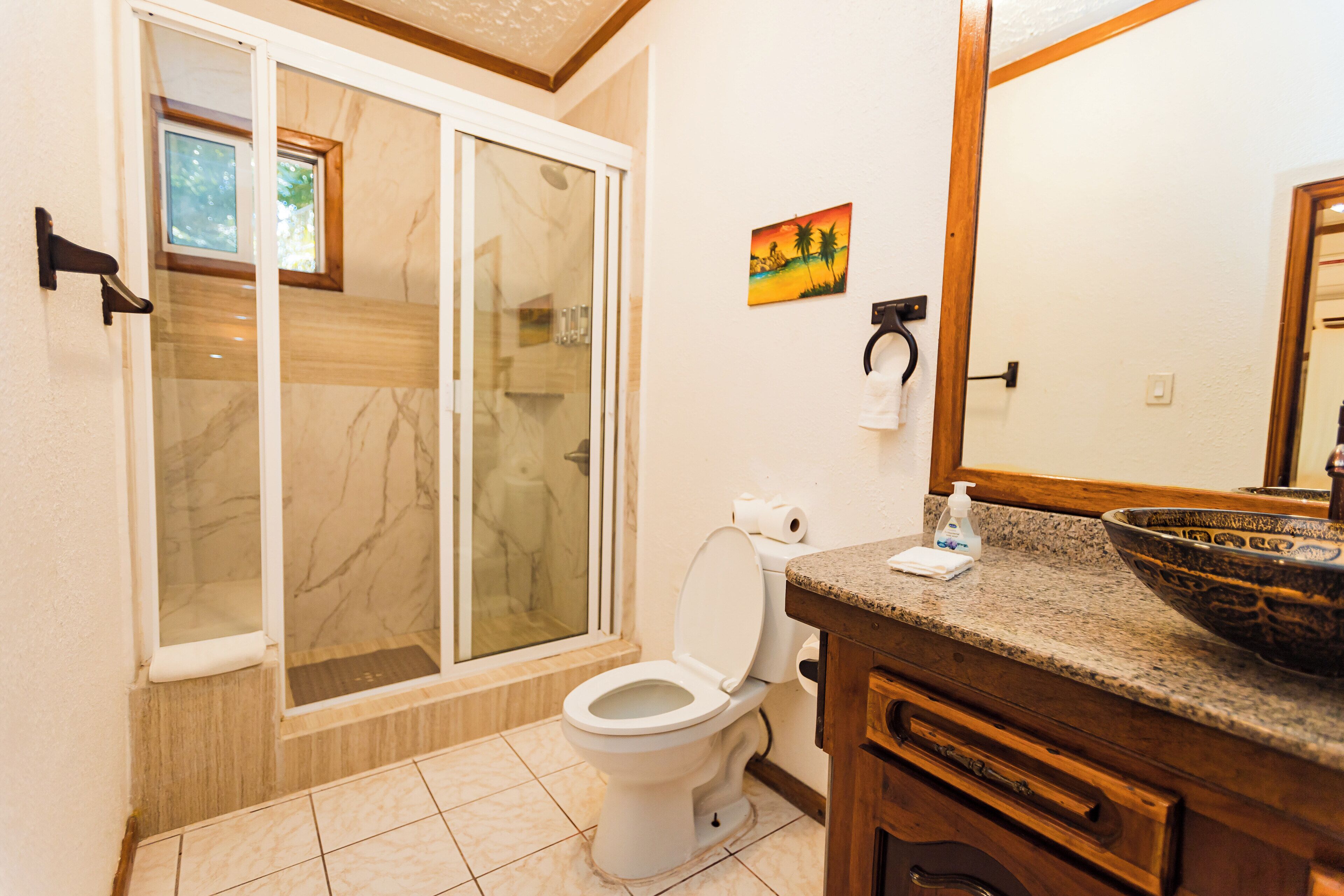 A bathroom with a toilet, a sink with a large bowl, a shower with glass doors, and a painting on the wall.