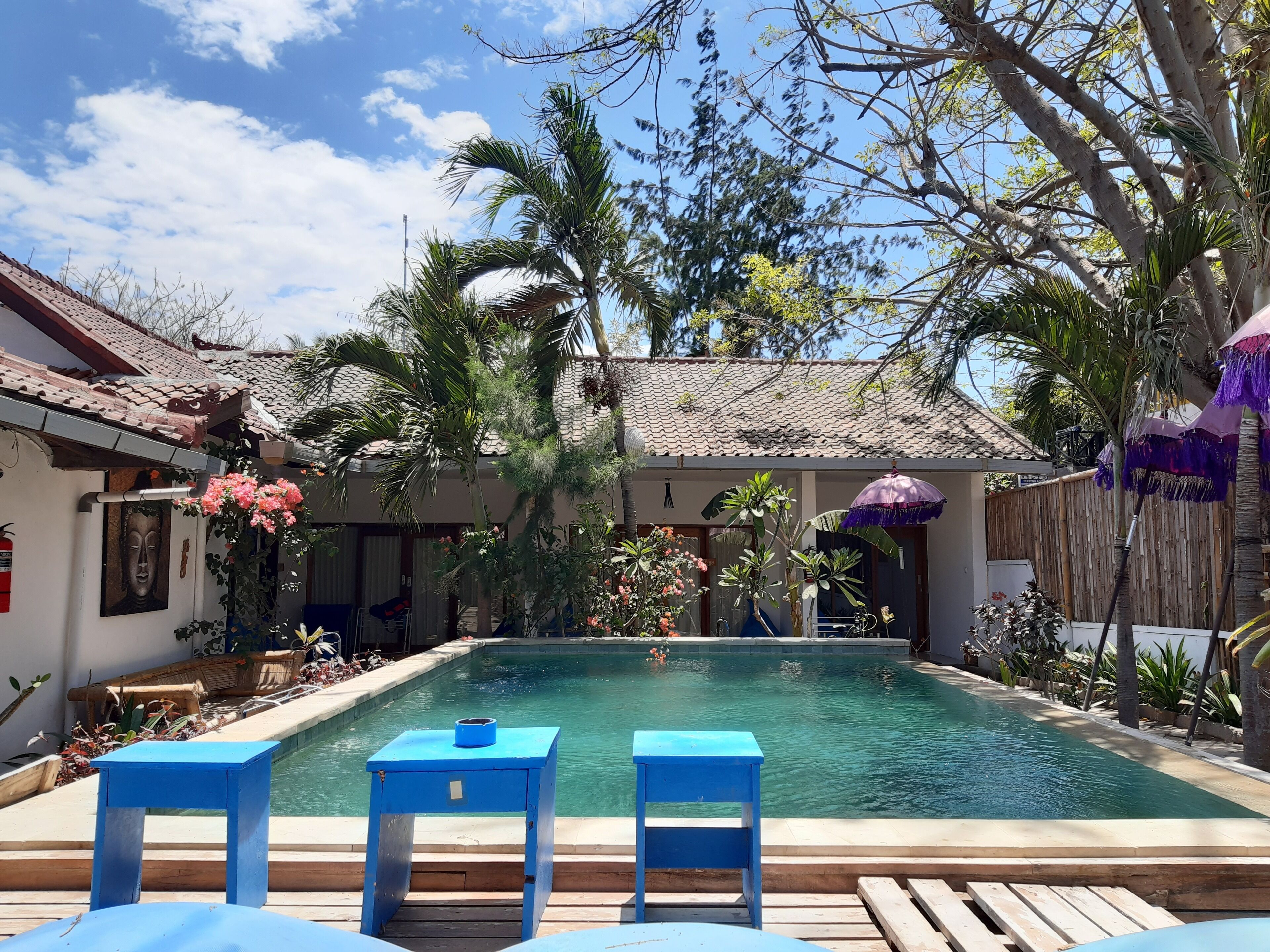 A swimming pool with blue chairs, surrounded by tropical plants and a tiled roof.