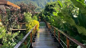 Un puente de madera que conduce a una zona montañosa con abundante vegetación y cielo despejado.