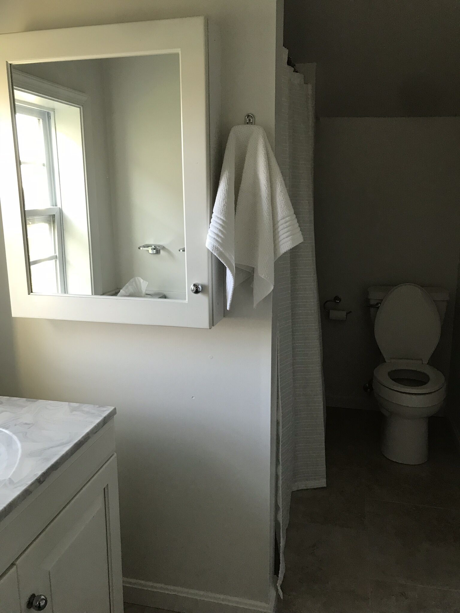 A bathroom with a white toilet, a sink with a mirror above it, and a towel hanging on the wall.