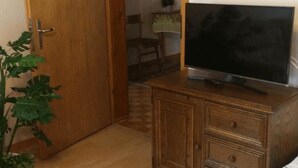 A room with a wooden door, a television on a wooden cabinet, and a plant. - Miranda by Interhome (Saas-Almagell)