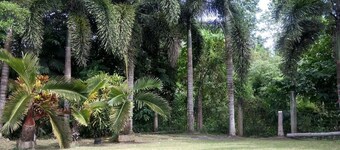 Maison d'hôtes entourée d'arbres